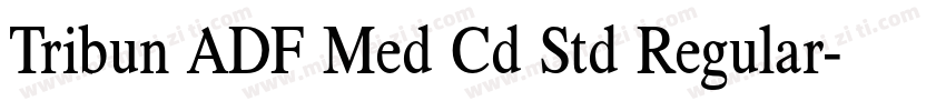 Tribun ADF Med Cd Std Regular字体转换